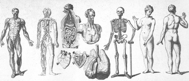 Körper Bild Körper Bild